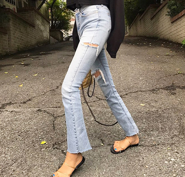 레몬.pt